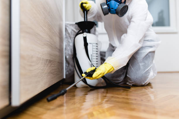Best Flea Control Services  in Indian Trail, NC