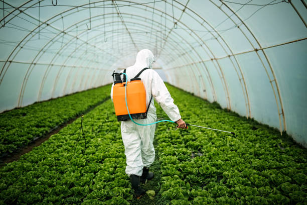 Best Pest Removal Services  in Indian Trail, NC
