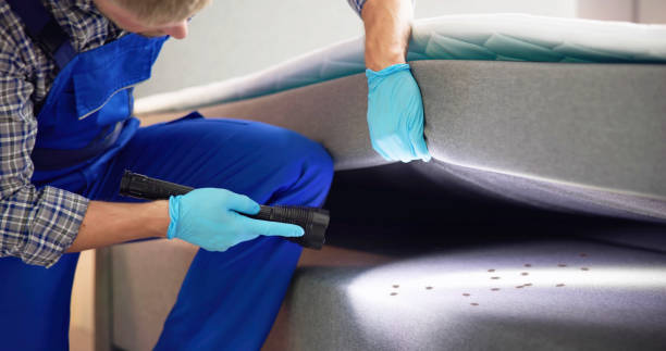 Trusted Indian Trail, NC Pest Control Experts