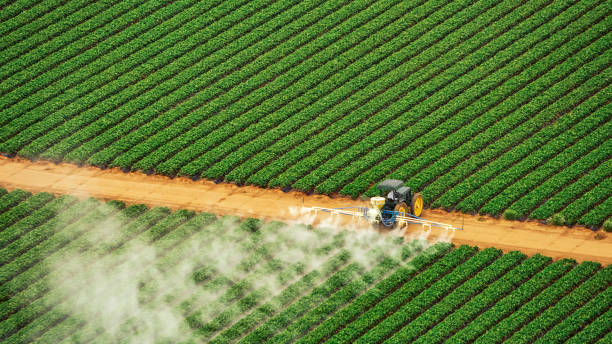 Best Insect Control  in Indian Trail, NC