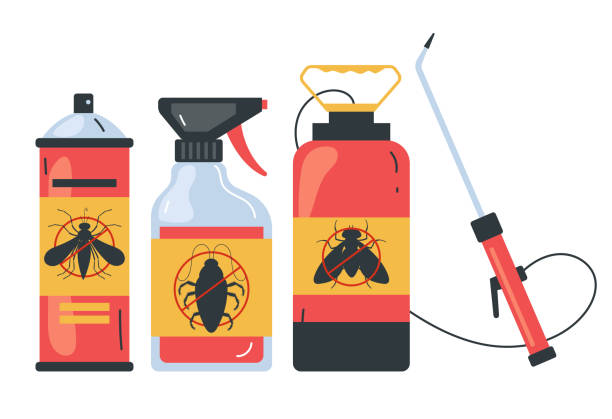 Best Ant Control Services  in Indian Trail, NC