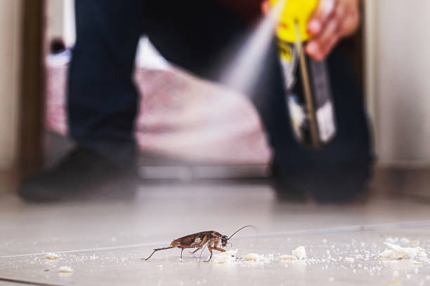  Indian Trail, NC Pest Control Pros