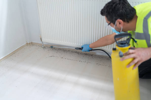 Reliable Indian Trail, NC Pest Control Solutions