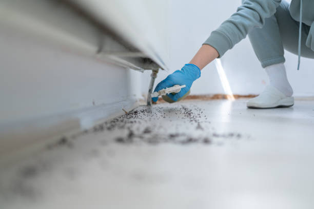 Best Best Pest Control Companies  in Indian Trail, NC